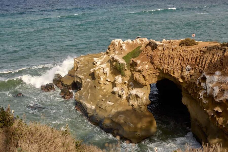 La Jolla Food & Drink Walking Tour - Sip, Savor & Sea - The Hill Down to the Cove: Shoes, Weather, and Pace