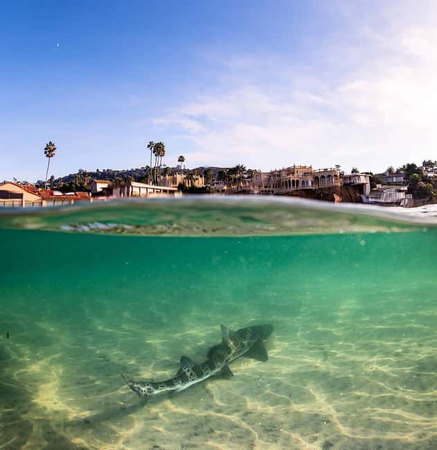 La Jolla: Full-Day Snorkel Gear Rental with Wetsuit Option - Getting set up for snorkeling: lockers, changing, and a smart checklist