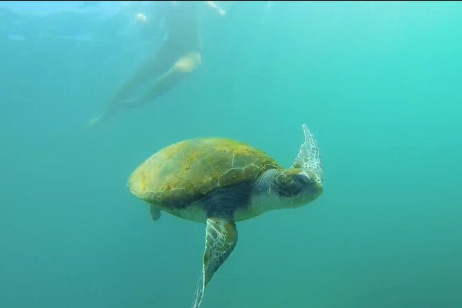 La Jolla Kayak and Snorkel Tour - Meeting at Bike & Kayak Tours: get set up fast (and don’t rush)