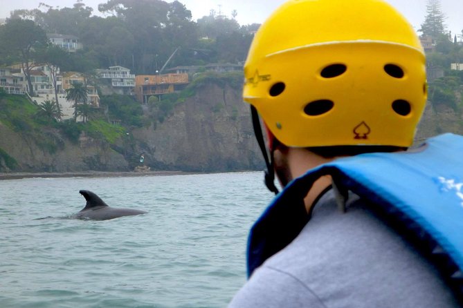 La Jolla Sea Caves Kayak Tour For Two (Tandem Kayak) - Tandem Sea Caves 101: How the La Jolla Kayak Tour Really Feels