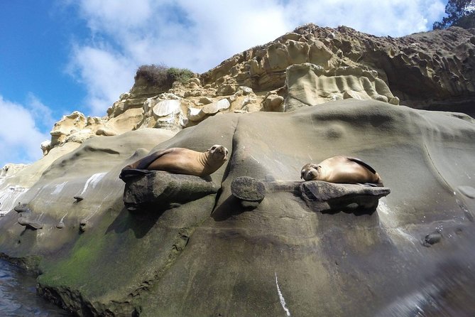 La Jolla Sea Caves Kayak Tour For Two (Tandem Kayak) - Where You Start in La Jolla Shores (and Why Timing Matters)