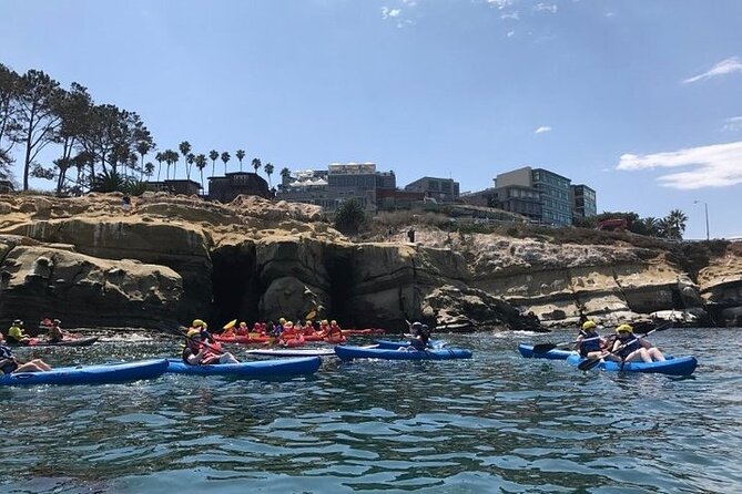 La Jolla Sea Caves Kayak Tour (Single Kayak) - Price and value: Is $74 fair for 2 hours on the water?