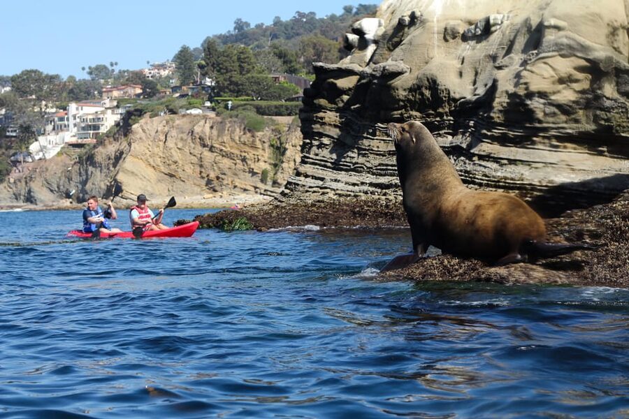 La Jolla: Sunset Kayak Tour of the 7 Caves - La Jolla at Golden Hour: Why a kayak works so well here