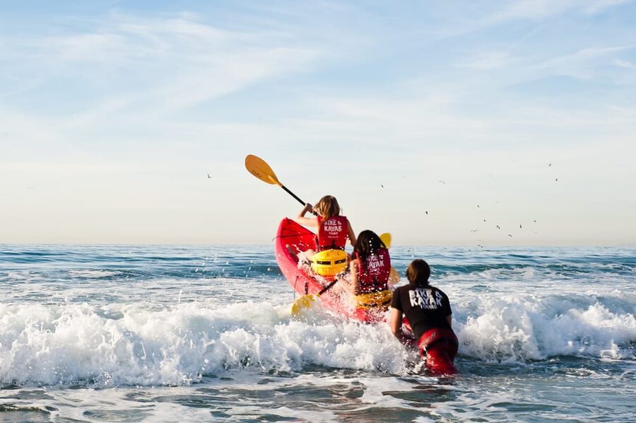 La Jolla: Sunset Kayak Tour of the 7 Caves - Wildlife on the water: sea lions, garibaldi, sharks, and more