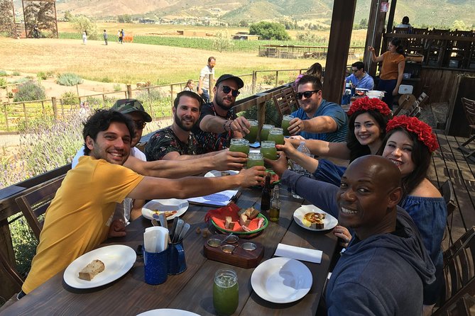 Luxury Private Wine Tasting Tour to Guadalupe Valley from San Diego - Key Highlights You’ll Care About