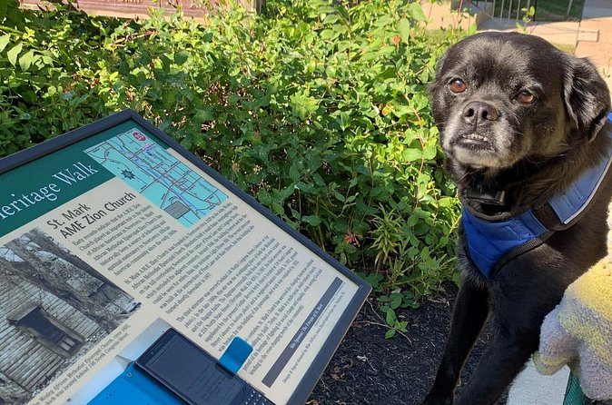 Mysteries on the Move: Scavenger Hunt in San Diego - Best For: Friends, Couples, and Adults Who Like Clues
