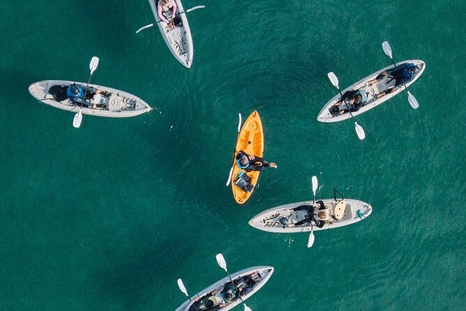 Original La Jolla Sea Cave Kayak Tour for Two - La Jolla Sea Caves on Kayaks: why this trip feels special