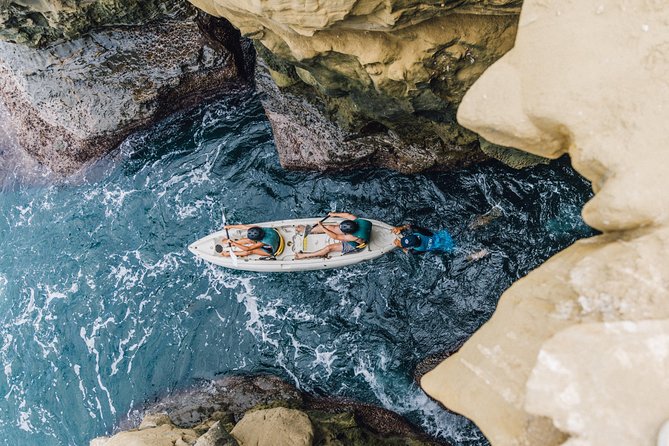 Original La Jolla Sea Cave Kayak Tour for Two - Stop 2: Everyday California—wildlife talk that actually helps