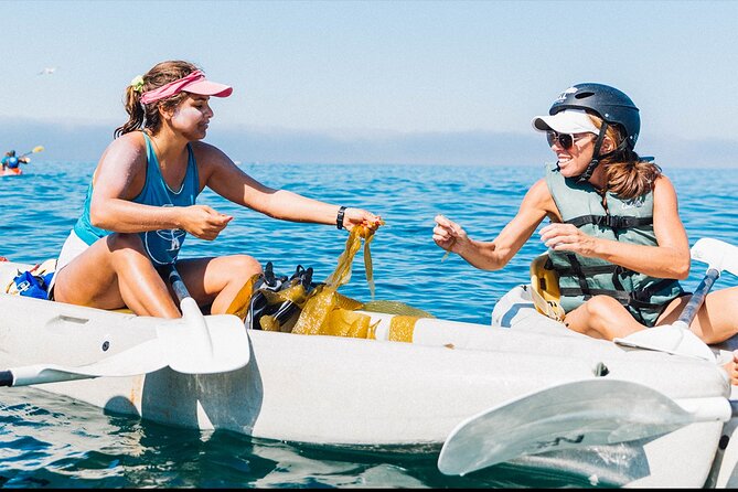 Original La Jolla Sea Cave Kayak Tour for Two - What you actually get: kayaks, gear, and the skill level