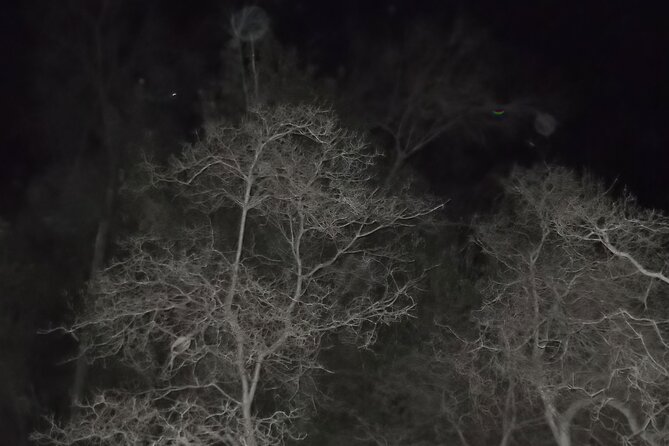 Paranormal Investigation History & Ghost Tour Old Town San Diego - Group size, guide energy, and how the night stays fun