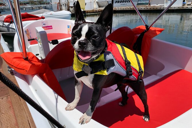 Pedal Boat rental in hidden part of San Diego Bay! Family fun - Price and value: $49 per group for an easy waterfront hour