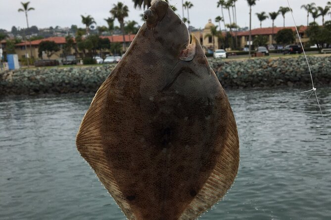 Pier Fishing Tour - San Diego - Meeting, Group Size, and the Pace You’ll Feel