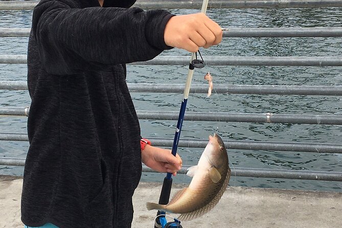 Pier Fishing Tour - San Diego - Gear and Bait Included: The Real Value Here
