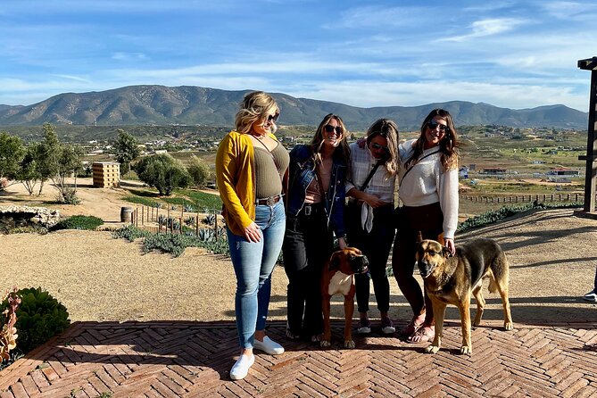 Premium Valle de Guadalupe Wine and Food Tour - Lunch at Adobe Guadalupe: Tapas-Style Energy for the Second Half