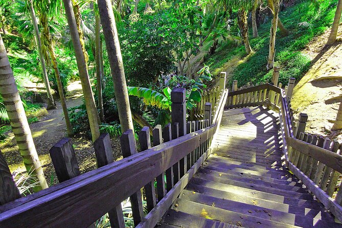 Private Customizable Iconic City Highlights Tour - Cultural, Historic, Shuttled - Stop 1: Balboa Park’s butterfly garden and old-school surprises