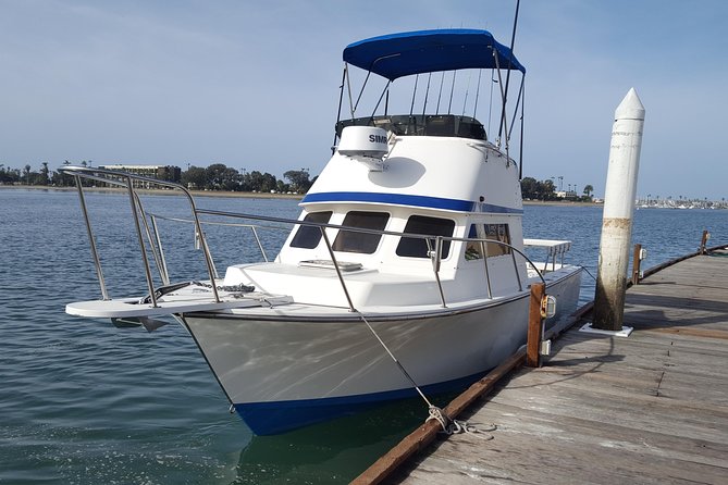 Private Half-Day San Diego Fishing Trip for up to 6 People - The Species List: What You Can Hope to Catch