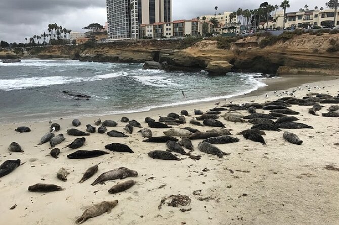Private Segway Experience Through La Jolla - Key points at a glance