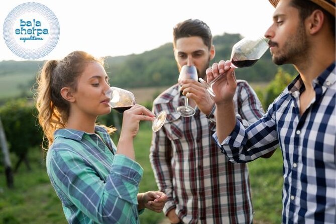 Private Tour Premium Wineries in the Valle de Guadalupe - Valle de Guadalupe Without the Driver Stress