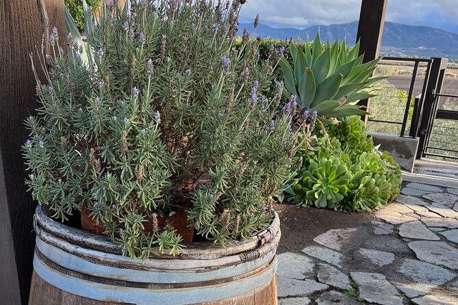 Private Tour Premium Wineries in the Valle de Guadalupe - Finca La Carrodilla: Organic and Biodynamic Winemaking Focus