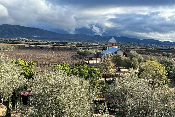 Private Tour Premium Wineries in the Valle de Guadalupe - Las Nubes: Panoramic Views and a Relaxed Tasting Mood