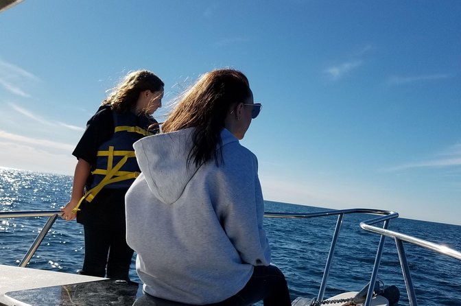 Romantic Wine and Cheese Boat Tower Cruise - Mission Bay to the Pacific Edge: Why This Route Works for Views