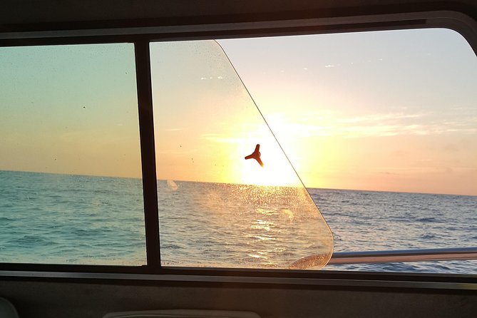 Romantic Wine and Cheese Boat Tower Cruise - Wine and Cheese Without Corkage Fees: A BYOB Setup That’s Easy