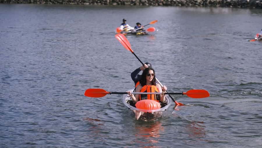 San Diego: 2024 Crystal Clear Kayak Rental - Gliding Over San Diego Bay in a 2024 Crystal Clear Kayak