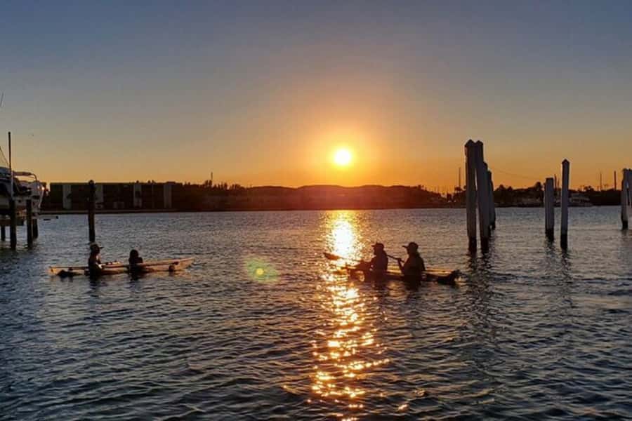 San Diego: 2024 Crystal Clear Kayak Rental - Your One-Hour Paddle on San Diego Bay: Skyline and Underwater Views