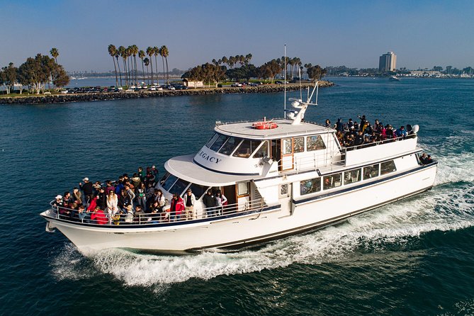 San Diego: 3 Hour Whale Watching Cruise - How the 3 hours play out: what you’ll do, minute by minute