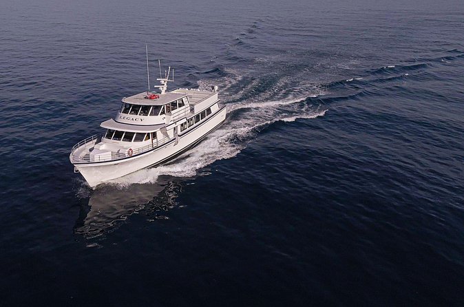 San Diego: 3 Hour Whale Watching Cruise - Bar, bathrooms, and layers: the small comforts that keep you happy