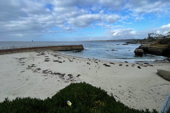 San Diego 5 Hour Tour (Private) - Cabrillo National Monument: Pacific panoramas plus a trail and small lighthouse climb