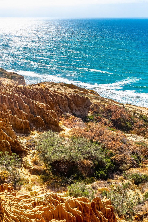 San Diego: Beaches & Bluffs Self-Guided Driving Tour - Torrey Pines State Reserve: The Hike Stop You’ll Actually Remember