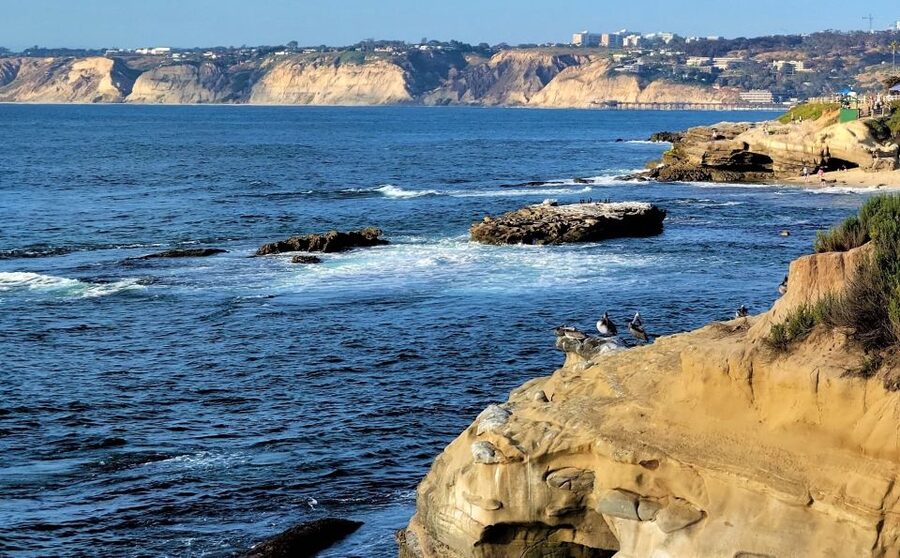 San Diego: City and Beaches Guided Highlights Tour - Coronado (about 50 minutes): ocean air and a beach-town feel