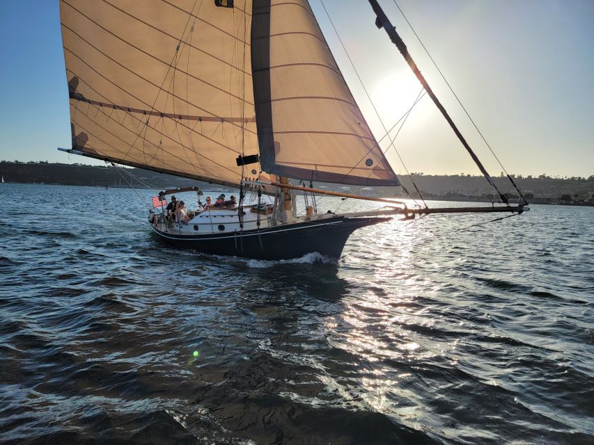 San Diego: Classic Yacht Sailing Experience - Wildlife spotting: sea lions, dolphins, and seabirds on cue
