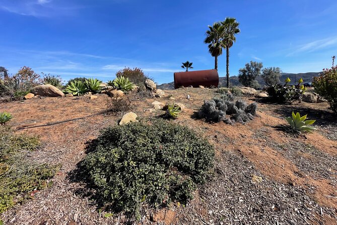 San Diego County Wine Tour (Private) - A 5-Hour Private Wine Day That Feels Manageable
