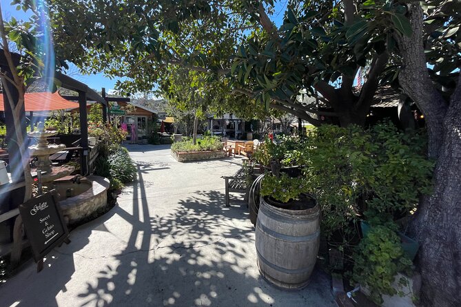 San Diego County Wine Tour (Private) - Stop 3: Hungry Hawk Vineyards and Winery’s 15 Varietals Story