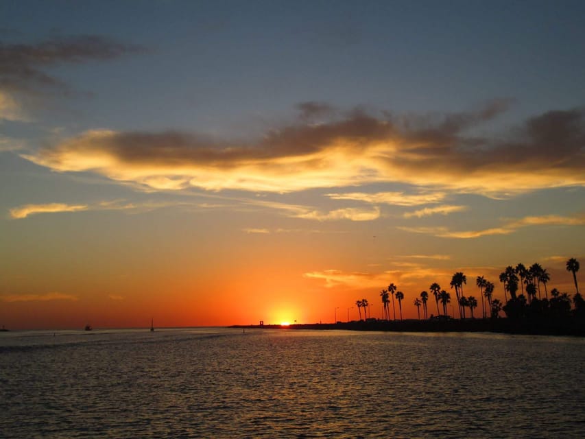 San Diego: Dolphin and Whale-Watching Sunset Cruise - How long you’ll be out: seasonal timing (and what it means)