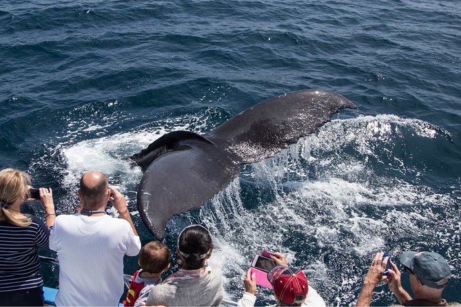 San Diego Explorer Pass: Save up to 50% - Includes San Diego Zoo - Balboa Park trio: Fleet Science Center, Museum of Us, Natural History Museum, and Air & Space