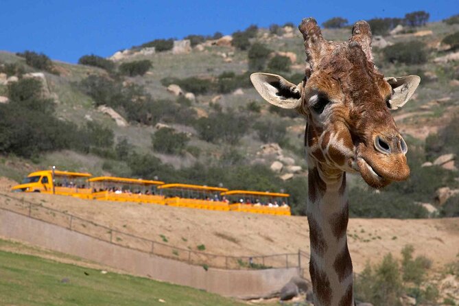 San Diego Explorer Pass: Save up to 50% - Includes San Diego Zoo - La Jolla water time: Birch Aquarium and the Japanese Friendship Garden