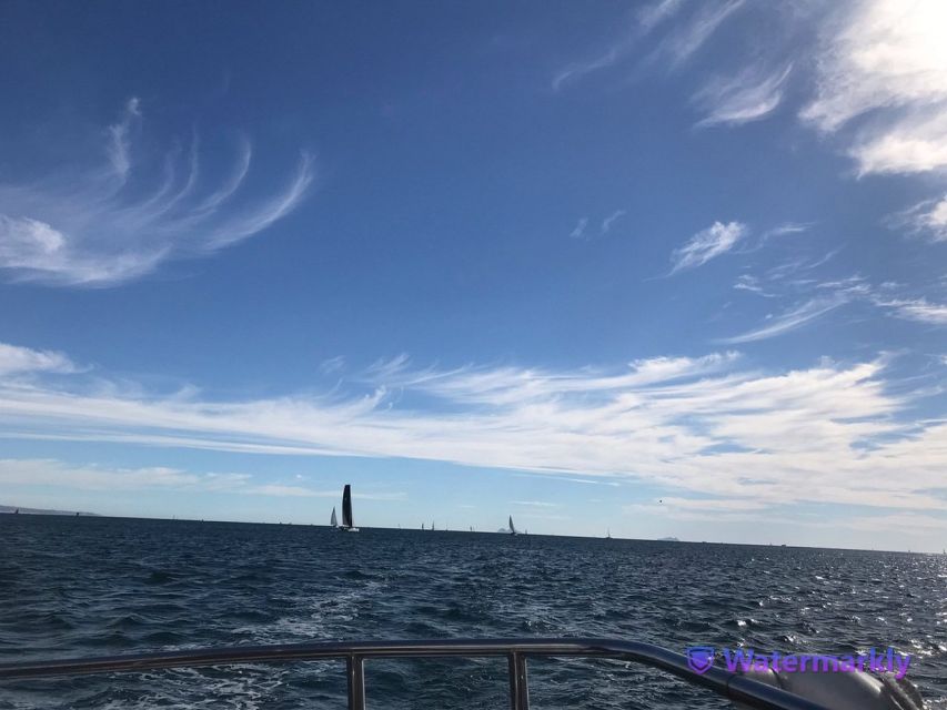 San Diego: Half-Day Marine Wildlife Tour with Lunch - Lunch on the Water: Gourmet Box + Beer or Wine (Plus Choice)