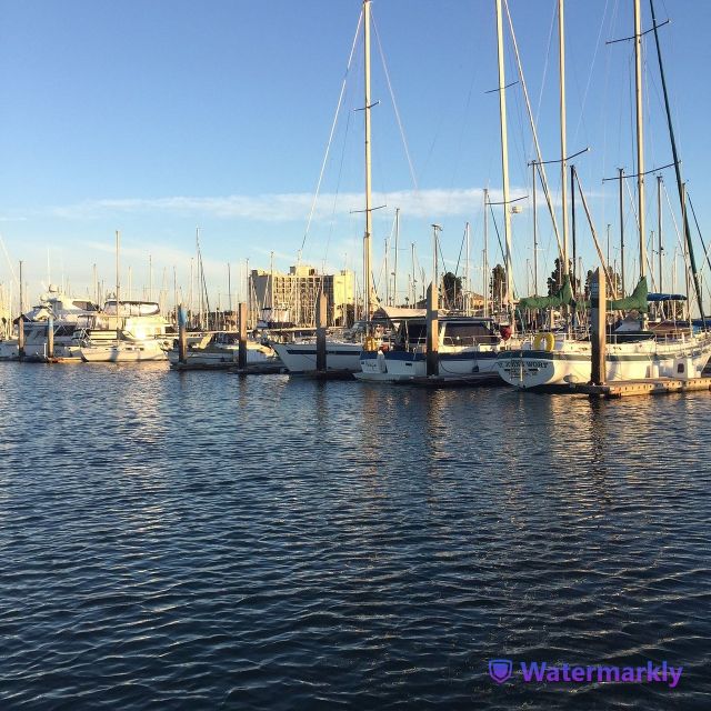 San Diego: Half-Day Marine Wildlife Tour with Lunch - Views You’ll Actually Notice: San Diego From the Water