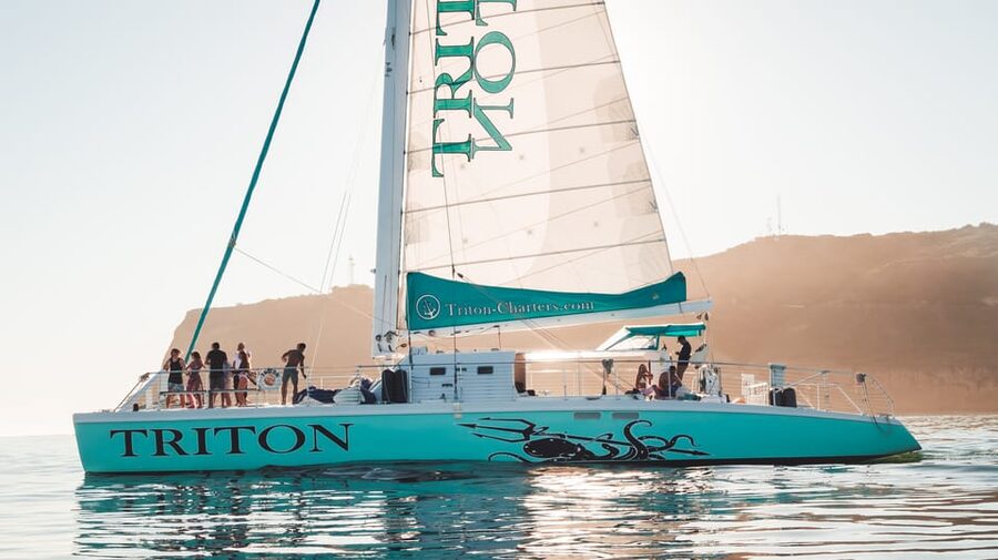 San Diego Harbor Cruise: 2.5 hour Catamaran Cruise - Coronado Bridge and Skyline: The Part That Feels Like San Diego