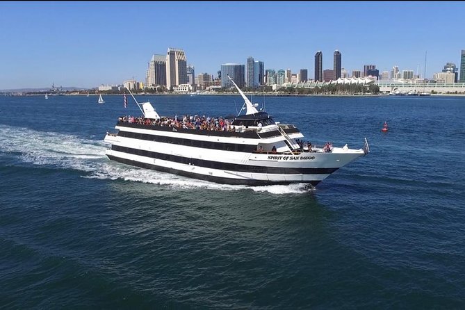 San Diego Harbor Cruise - San Diego Harbor Cruise: What This Boat Ride Feels Like