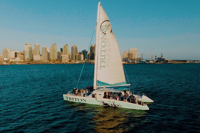 San Diego Harbor Cruise on the largest Catamaran in San Diego! - Coronado Bridge from below: the view twist you didn’t know you needed