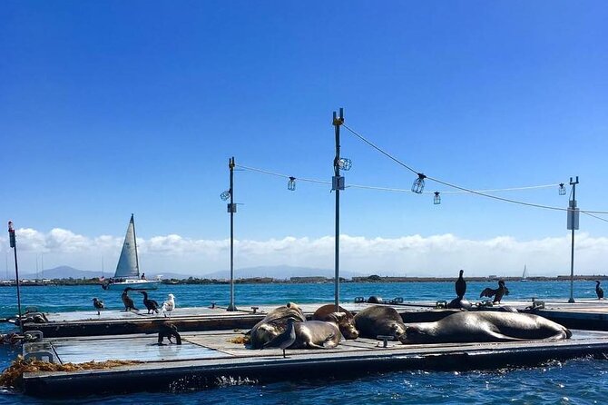 San Diego Harbor Speed Boat Adventure - What to pack so you stay comfortable