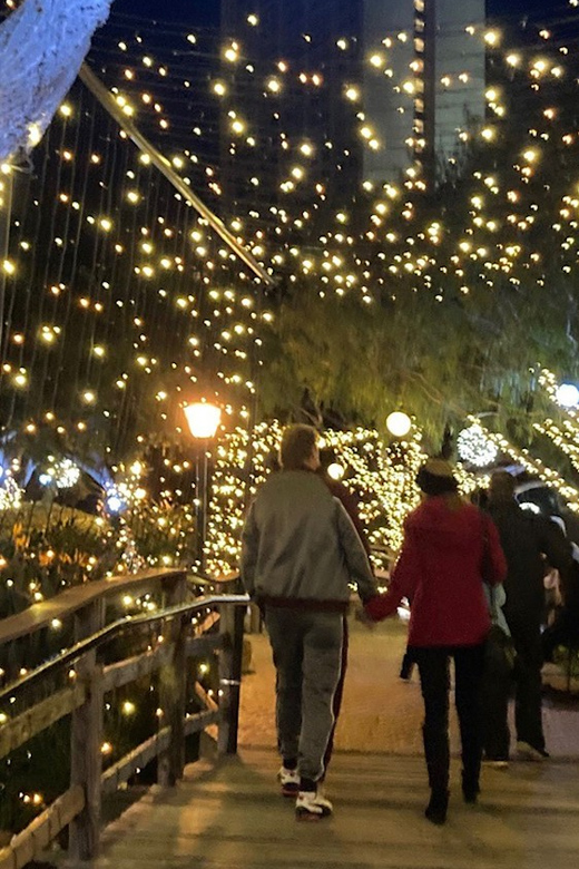 San Diego: Holiday Lights and Sights Trolley Tour - The Embarcadero: festive lights with a waterfront feel
