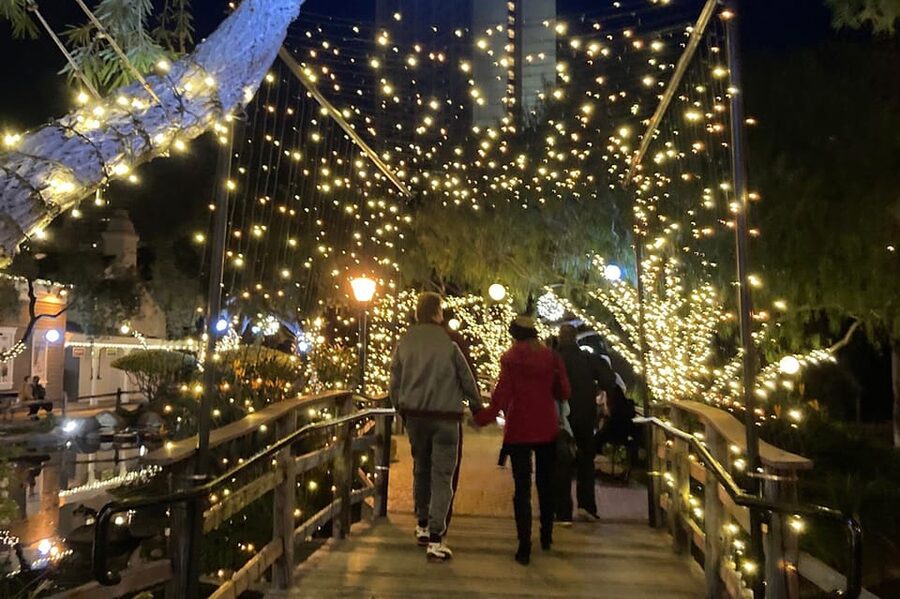 San Diego: Holiday Lights and Sights Trolley Tour - The elf conductor and sing-a-long caroling vibe