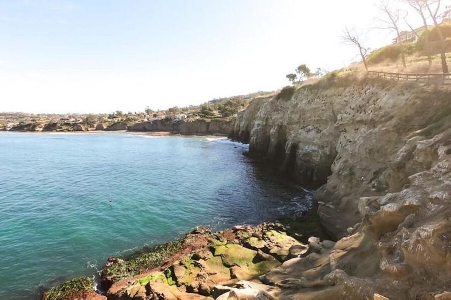 San Diego: La Jolla Cove Guided Snorkeling Tour - Gear That Actually Helps: Mask, Snorkel, Fins, and Wetsuit