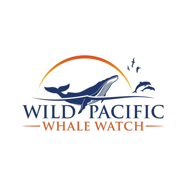 San Diego: Luxury Year-round Whale Watching & Dolphin Tour - Getting to H&M Landing: the exact check-in rhythm that matters