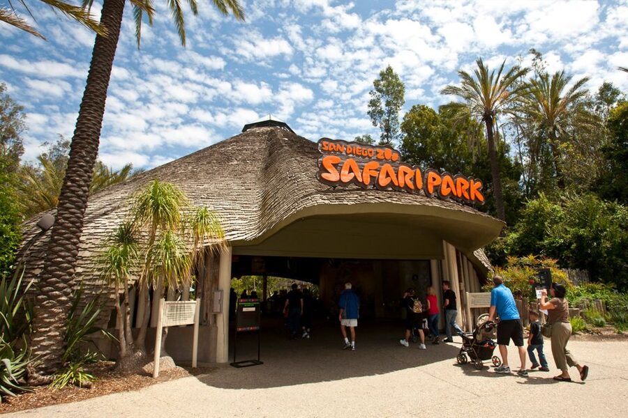 San Diego Pass Plus: 50+ Attractions - Includes LEGOLAND® - Theme-Park Energy Beyond San Diego: Knott’s Berry Farm and More
